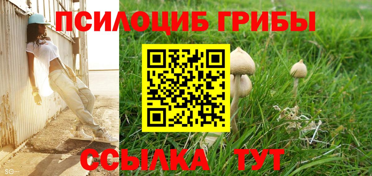 Курган  Галлюциногенные грибы ЛСД  Вход с VPN 