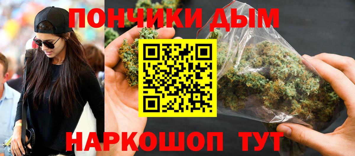 Бошки Шишки планчик  Каннабис гибрид  Вход с VPN  Курган  Марихуана тримм  Каннабис сатива 